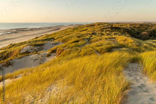 Les dunes entre Fort-Mahon et la baie d Authie au soleil couchant