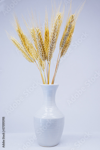 Yellow ears of rye in a white vase. Vase with a bouquet of rye ears on a white background.
