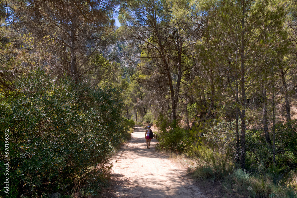 Obraz premium Bosque.