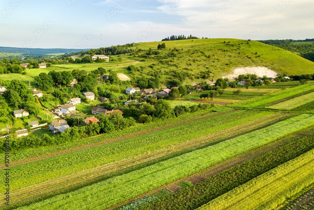 Aerial view of a small village win many houses and green agricultural fields in spring with fresh vegetation after seeding season on a warm sunny day.