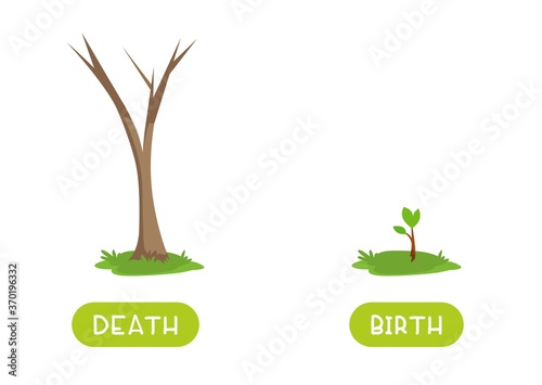 Death and birth antonyms word card vector template. Flashcard for english language learning. Old and withered tree trunk and tree sprout.