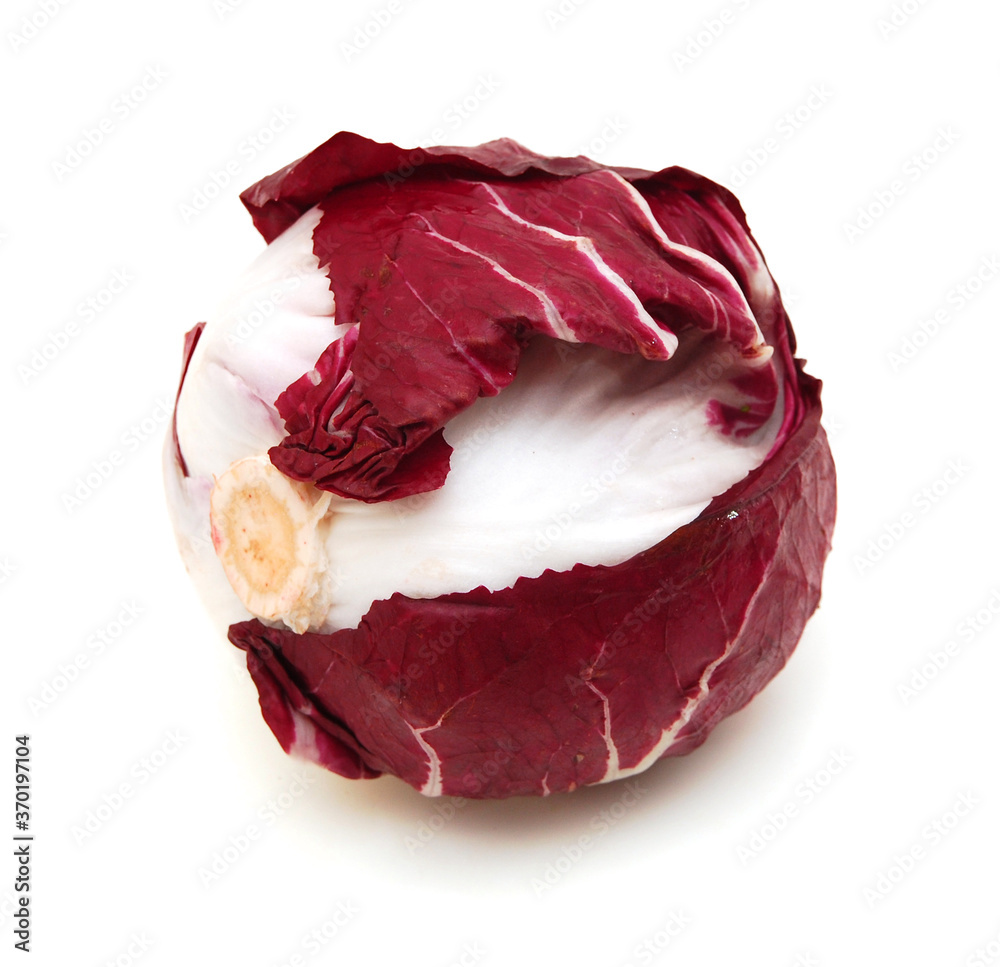 Fototapeta premium red chicory isolated on white background