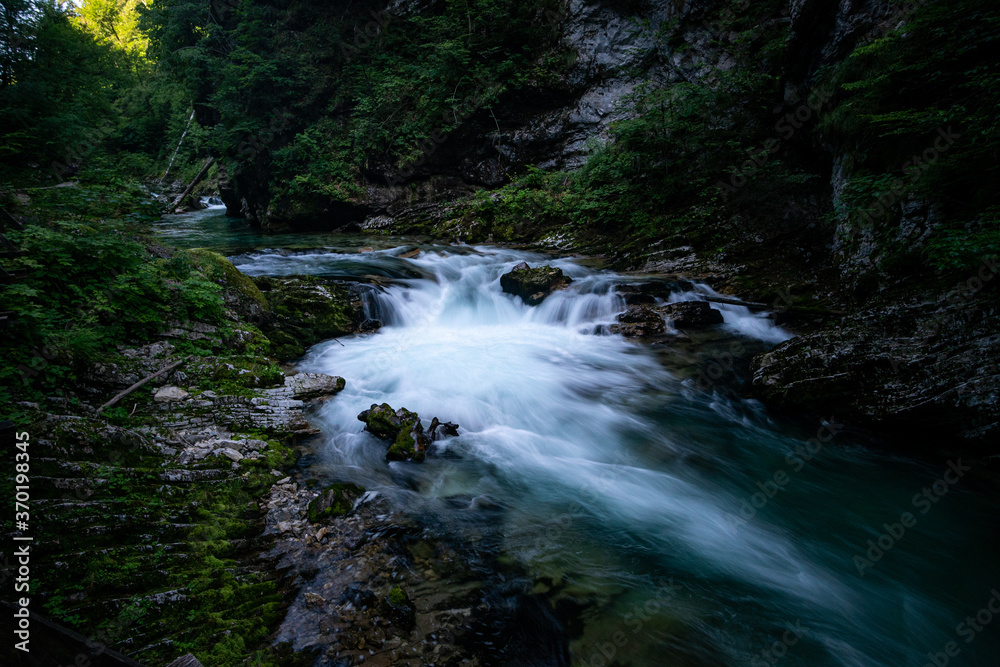 Fototapeta premium Vintgar Gorge in Slovenia, view of the river and waterfall in the green. 