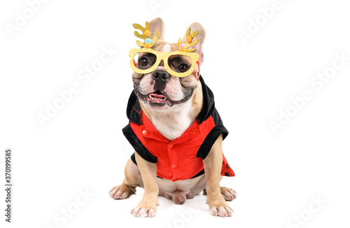 cute french bulldog  wear  fancy glasses and sit isolated on white © kwanchaichaiudom