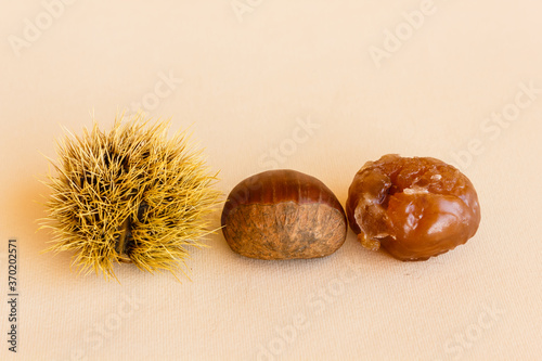 transformation of a chestnut / the chestnut husk becomes maturing from green to dark brown and contains the chestnut , which worked becomes marron glacé