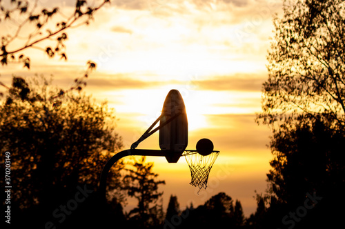 Seeger Basketball Silhouette photo