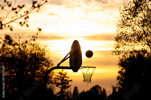 Seeger Basketball Silhouette photo