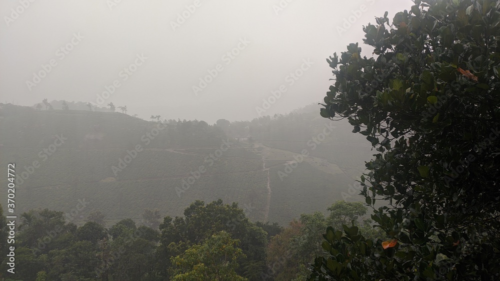 Obraz premium fog in the mountains