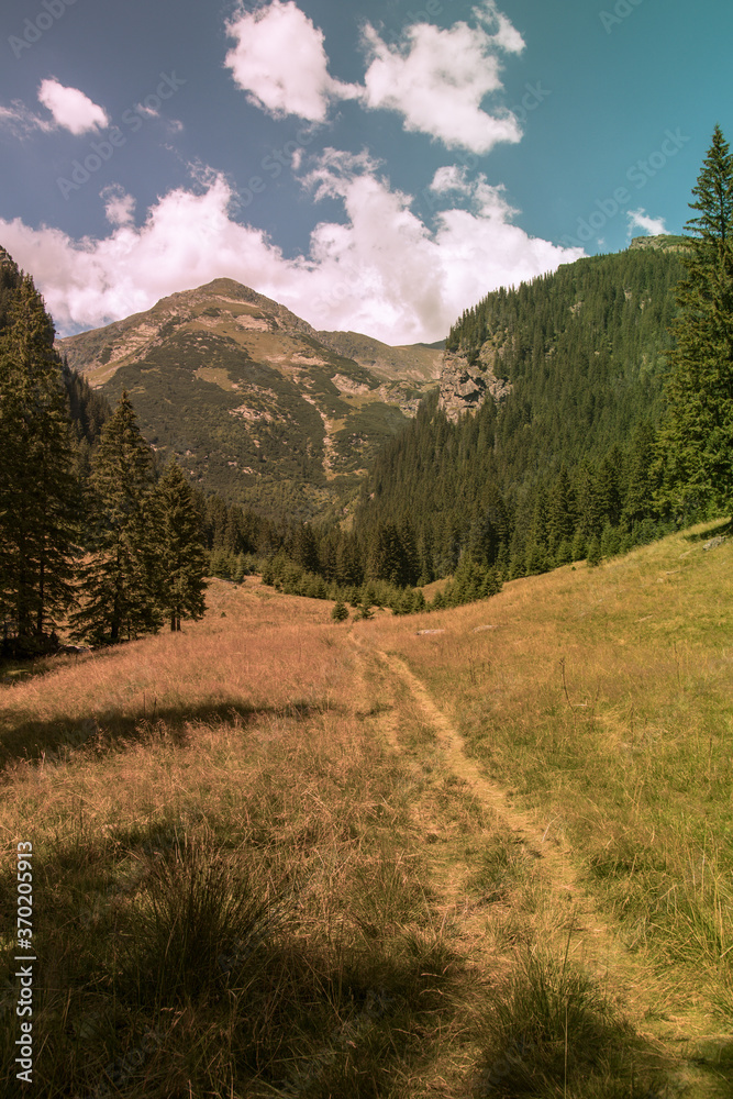 The path to the mountains in summer season