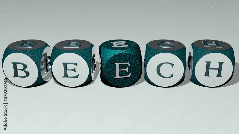 crosswords of BEECH arranged by cubic letters on a mirror floor, concept meaning and presentation. background and forest crosswords of BEECH arranged by cubic letters on a mirror floor, concept meaning and presentation. background and forest