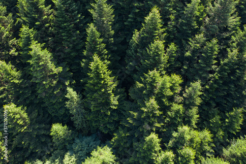 Skole Beskids National Nature Park. Closeup view from drone on forest, mountain. Wallpaper, texture, background