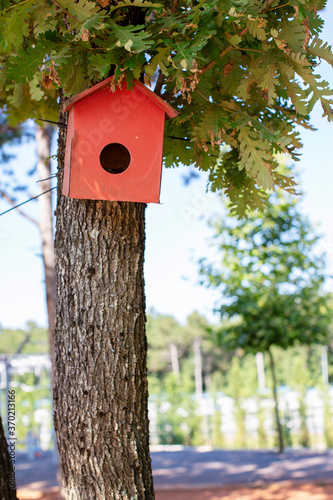 Bird house hanging from the tree with the entrance hole in the shape of a circle. Red birdhouse on a tree, hand wood shelter for birds to spend the winter.