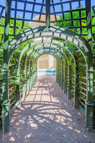 A path for pedestrians to walk in a modern green city park in the summer daytime