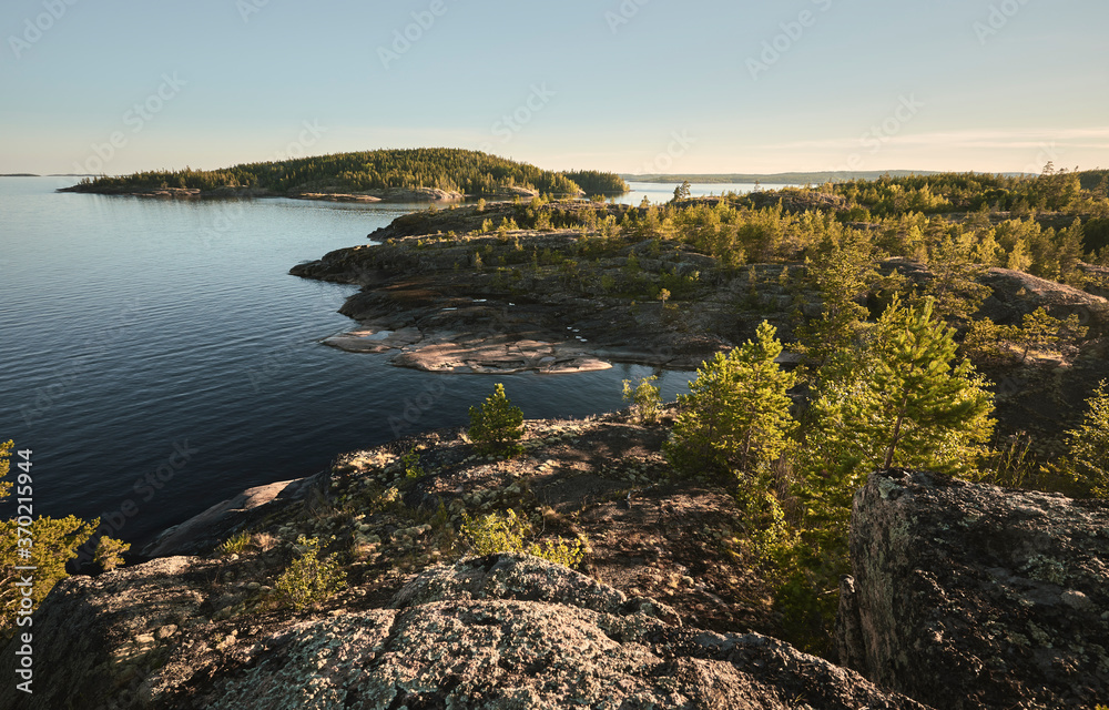 Rocky forest shore at sunset. Northern landscape