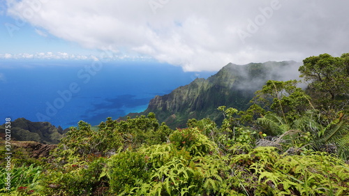 Kalalau Lookout is a Popular lookout point for picturesque panoramas over the Kalalau Valley & the Na Pali coast 2