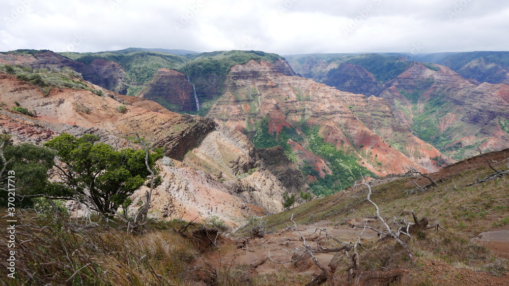 Waimea Canyon, also known as the Grand Canyon of the Pacific