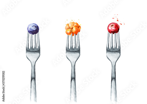 Forest berries set. Blueberries, cranberries, cloudberries on a fork. Concept of diet and healthy eating. Hand drawn watercolor illustration isolated on white background