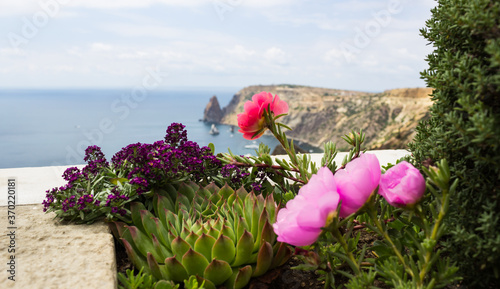 bright colorful flowers close-up on the background of the sea and mountains © Ольга Примачек