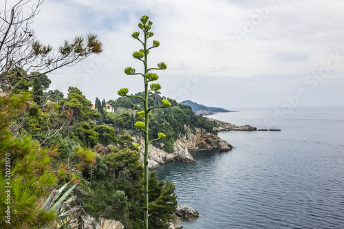 Scenic view of Adriatic Coast in Dubrovnik. Dubrovnik, Mediterranean, Croatia Europe.