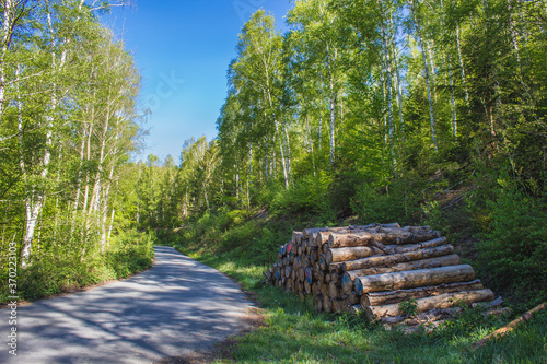view of Granestausee reservoir and forest at Harz Mountains National Park, Germany