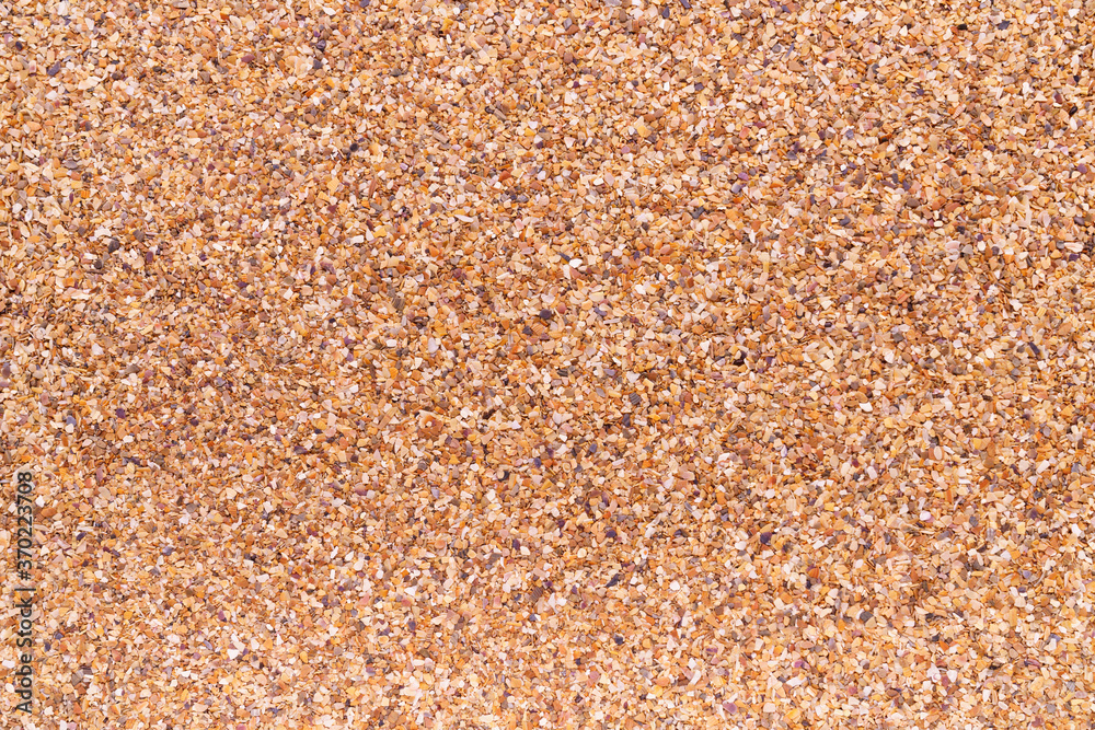 Sea sand as background, space for text. Sea sand as background, space for text.