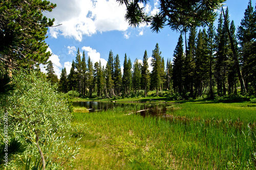 A subalpine lake and meadow near Kinney Lake, Pacific Crest Trail, Sierra Nevada, California