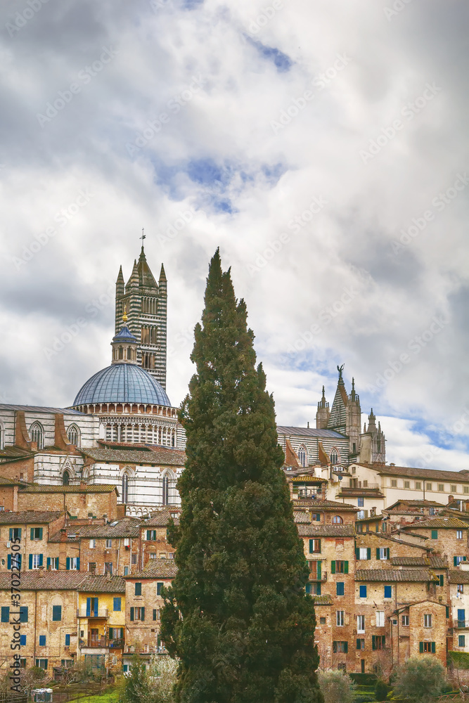 Naklejka premium View of Siena, Italy