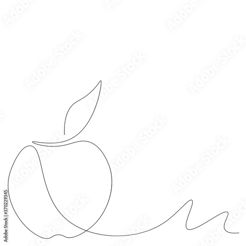 Apple fruit line drawing vector illustration 