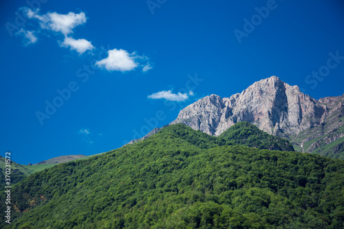 mountain landscape pine trees near valley and colorful forest on hillside under blue sky