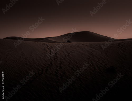 Dubai desert monochrome