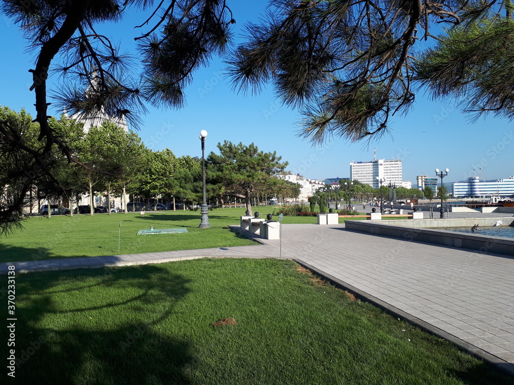 Obraz premium Walking area in the Park on the embankment, green lawn, pine trees. Behind the trees, you can see a white high-rise building. A clear summer day.