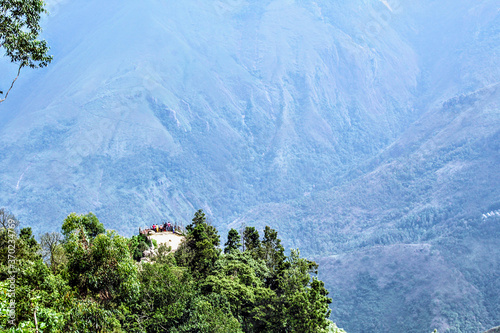 tree in the mountains, deep mountains