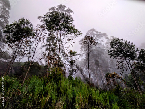 sunset in the mountains, Misty Mountain