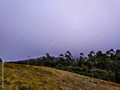 mountain landscape with tea leaves