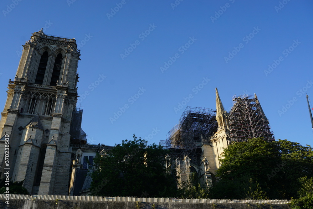 Fototapeta premium Notre Dame