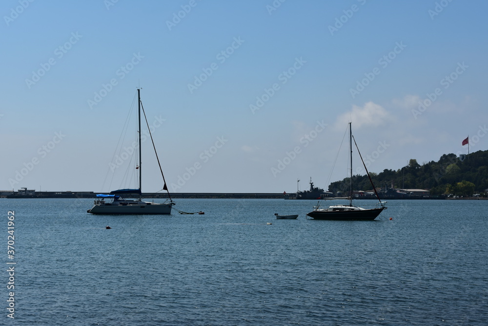 boats in the harbor