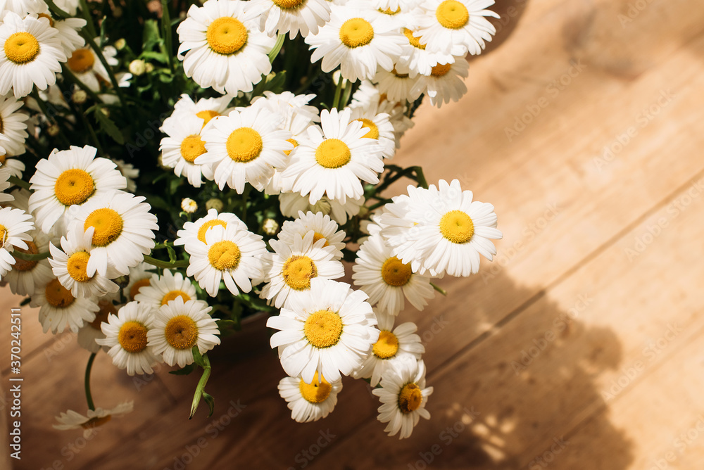 Obraz premium bouquet of white field daisies in a vase on the brown wooden floor