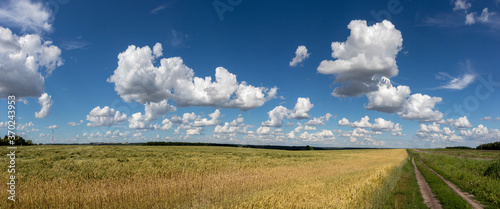 landscape panorama with clouds and sky