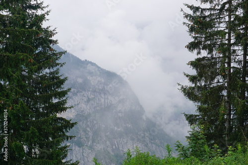 fog in the mountains © Helloo