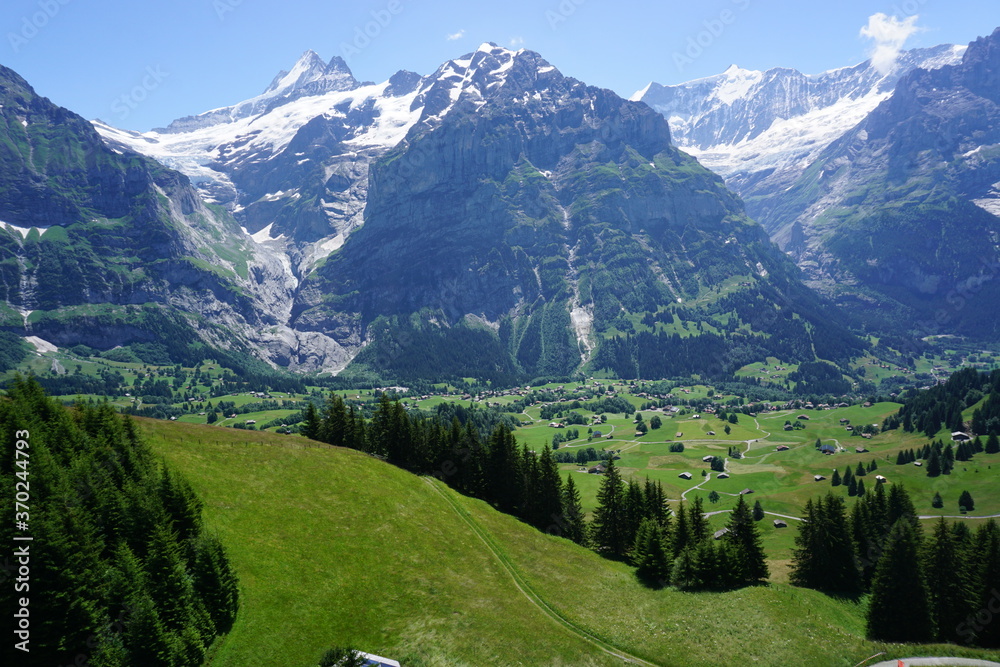 swiss alps in the summer