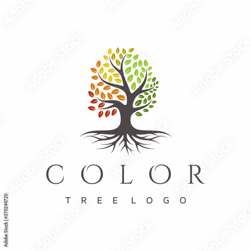 Vibrant tree logo design, root vector. Tree of life logo design inspiration