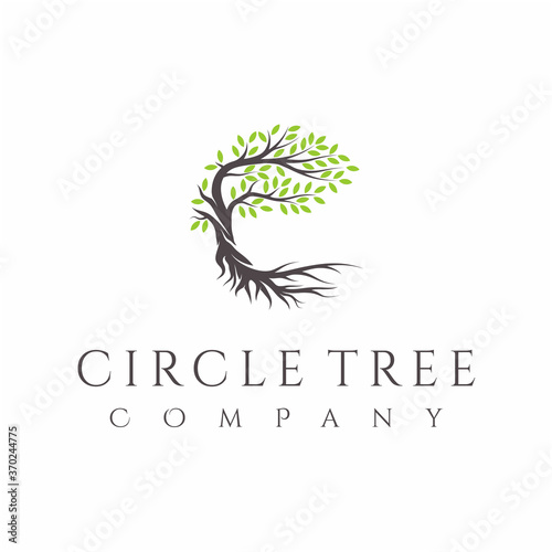 Tree and roots logo design vector isolated, abstract tree logo design