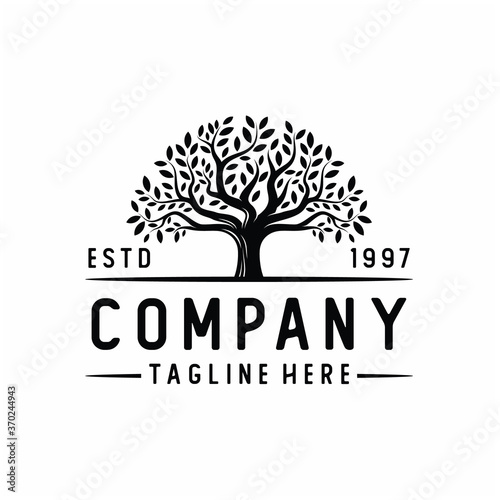 Vibrant tree logo design, tree and root vector. Tree of life logo design inspiration