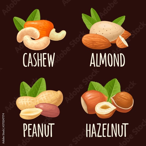 Set hazelnut, peanut, almond, cashew, pistachio. Vector realistic icon nut
