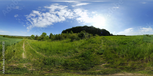 Fresh green foliage HDRI Panorama