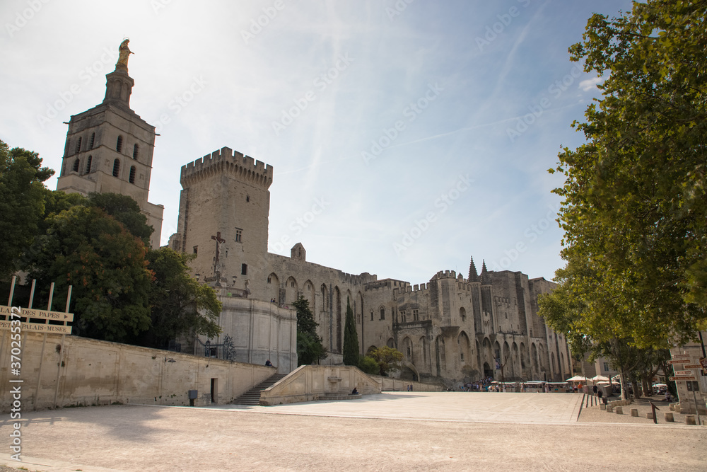 Palace of the popes and Avignon Cathedral, Avignon, Provence, France