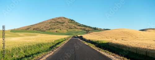 Canvastavla road to steptoe butte park in palouse washington