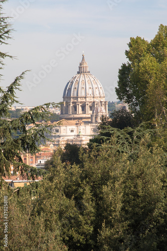 The dome of Saint Peters basilica seen through the trees, Rome, Italy
