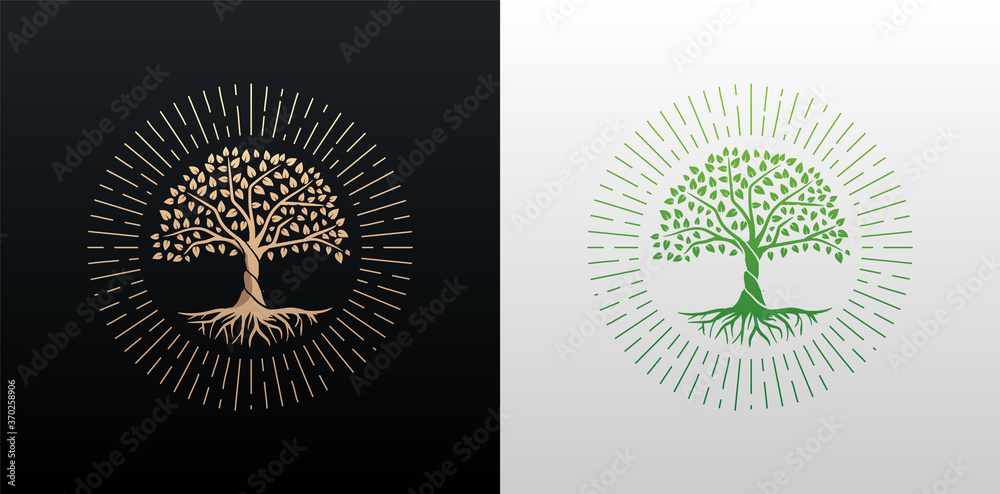 Fototapeta premium Tree of life with rays round shape design vector gold and green gradient isolated on black and white background