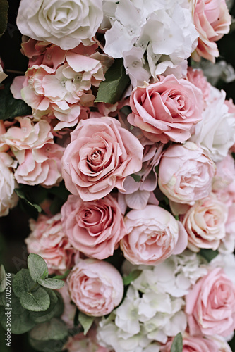 Pattern of fresh colorful roses © Kseniia